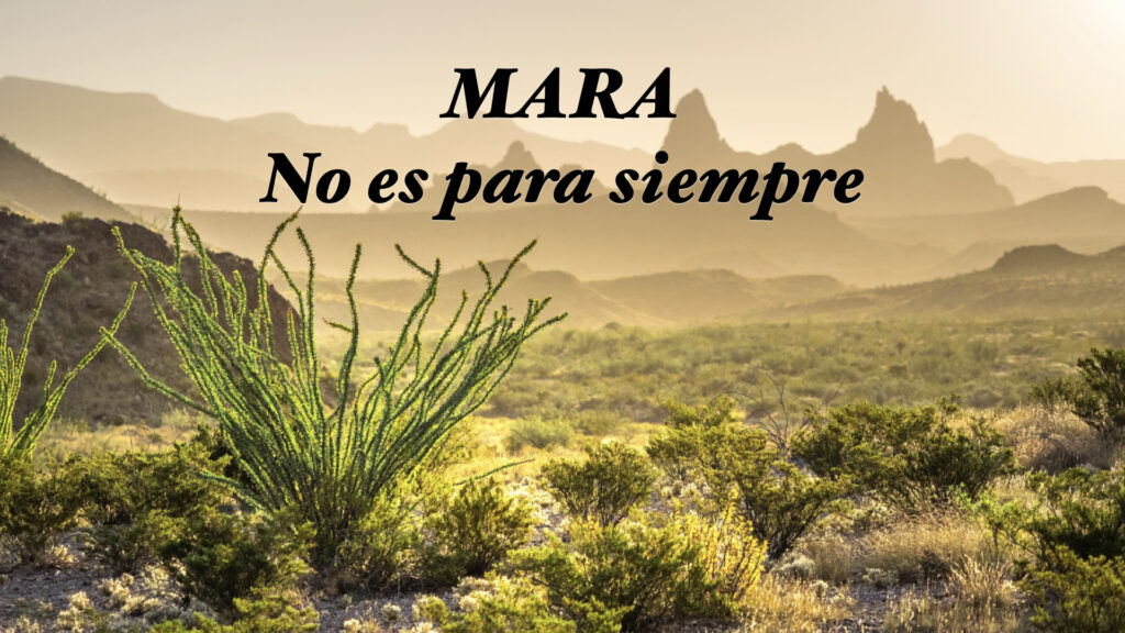 Mara no es para siempre